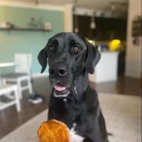 Rissy & Co ico