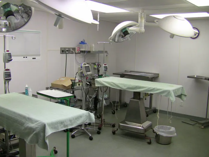 VCA Davis Animal Hospital 12