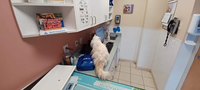 VCA Davis Animal Hospital 12