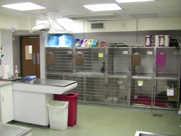 VCA Davis Animal Hospital 12