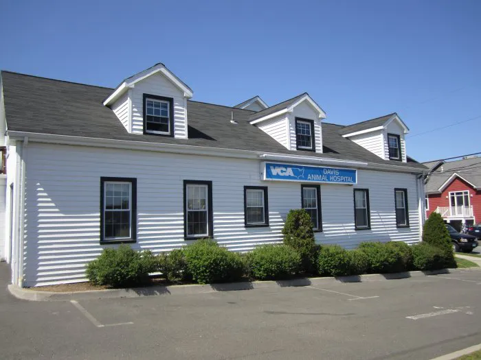 VCA Davis Animal Hospital 12