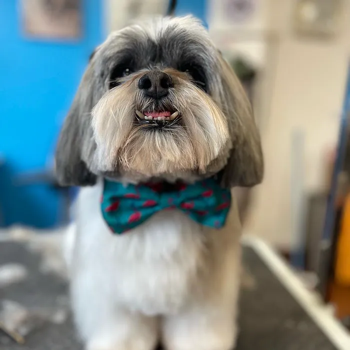 Banfield Pet Hospital 12