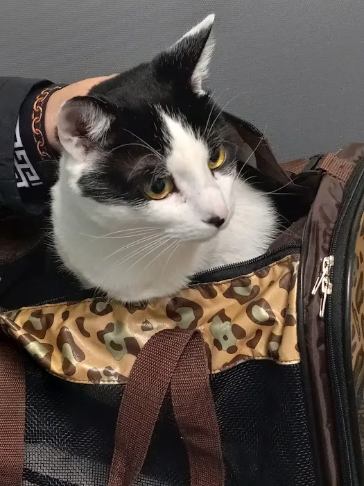 Banfield Pet Hospital 12