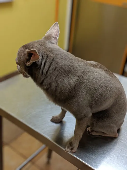 Banfield Pet Hospital 12