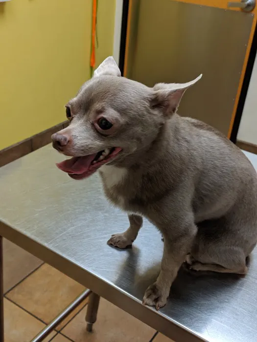 Banfield Pet Hospital 12