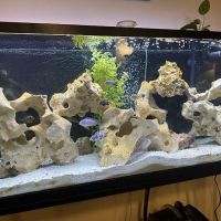 Limestone Holey Rock ico