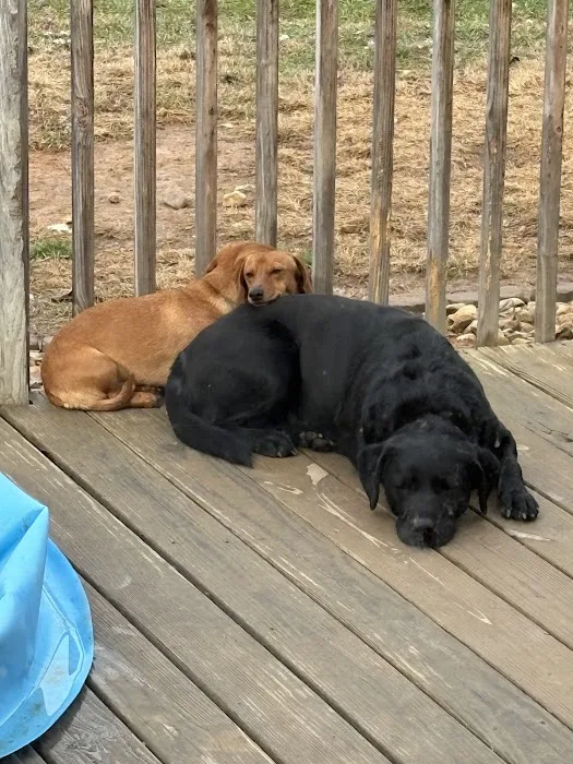 Appalachian Animal Hospital 12