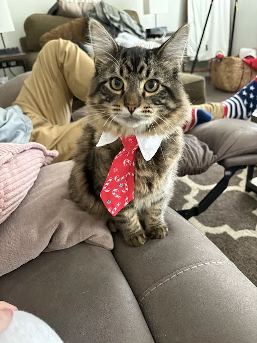 Appalachian Animal Hospital 12