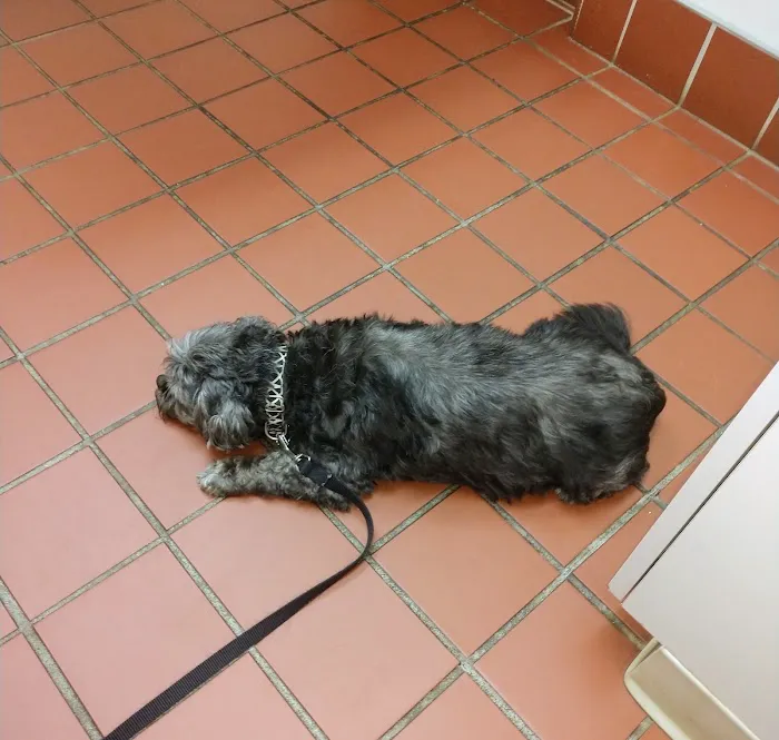 Appalachian Animal Hospital 12