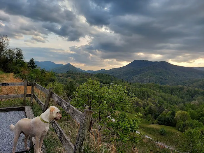 Appalachian Animal Hospital 12