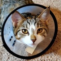 Mountain Empire Large Animal Hospital ico
