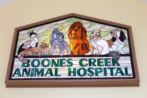 Boones Creek Animal Hospital 12