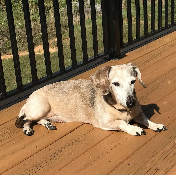 Town & Country Animal Hospital 6