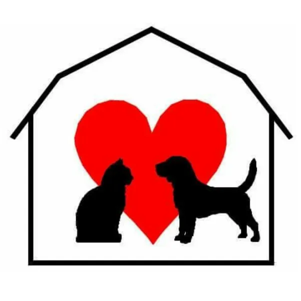 Town & Country Animal Hospital 8