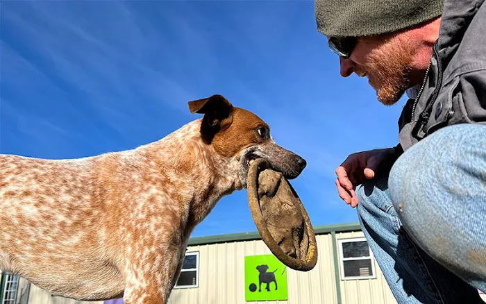 Aqua Animal Care Center 4