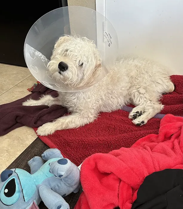 Vetco Total Care Animal Hospital 12