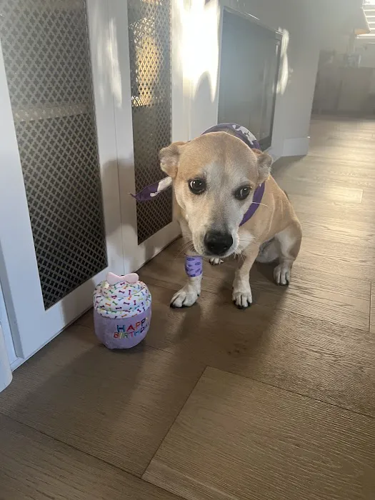 Vetco Total Care Animal Hospital 12