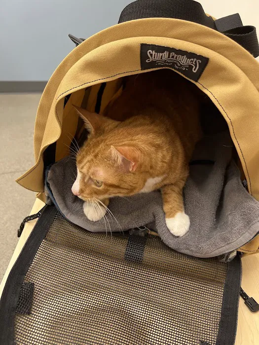 The Village Animal Hospital 12