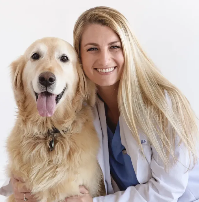 The Village Animal Hospital 12