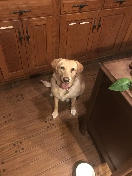 Ranch House Veterinary Services 12