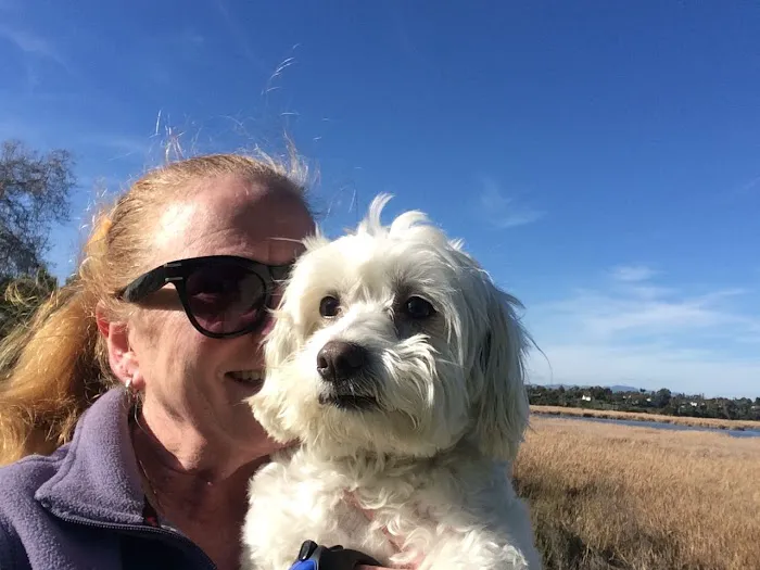 Carlsbad Animal Hospital 12
