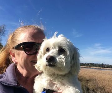 Carlsbad Animal Hospital