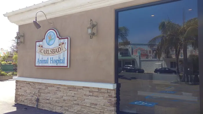 Carlsbad Animal Hospital 12