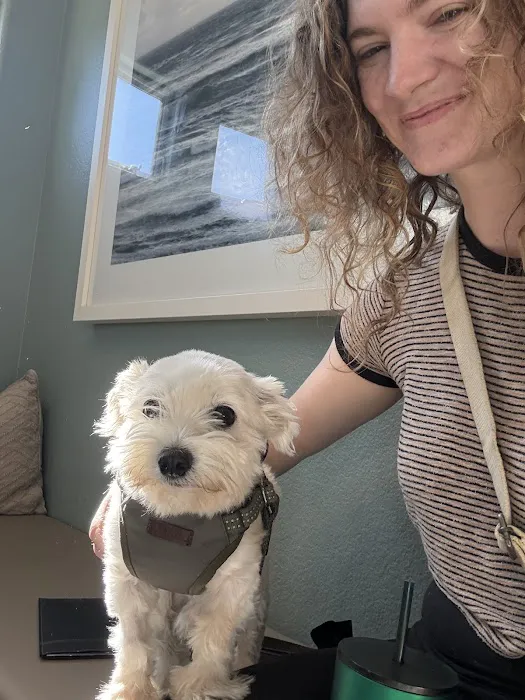 Carlsbad Animal Hospital 12
