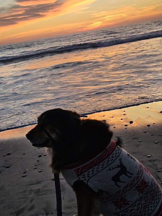 Carlsbad Animal Hospital 12