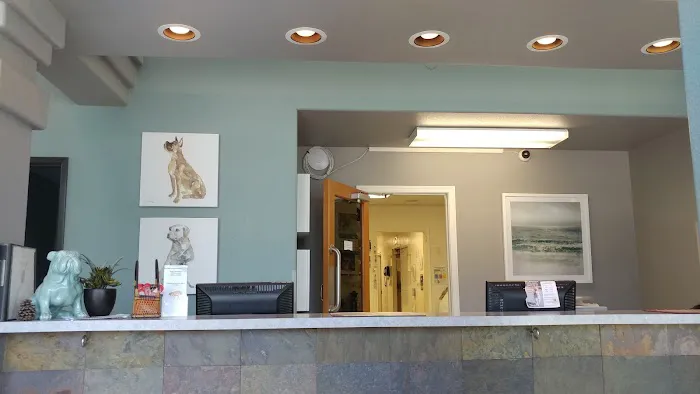 Carlsbad Animal Hospital 12