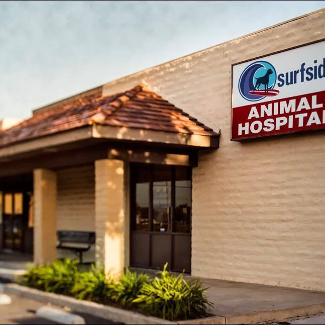 Surfside Animal Hospital 4