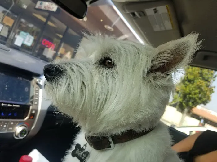 Surfside Animal Hospital 6