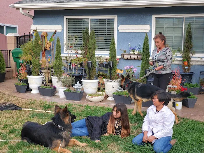 Surfside Animal Hospital 1