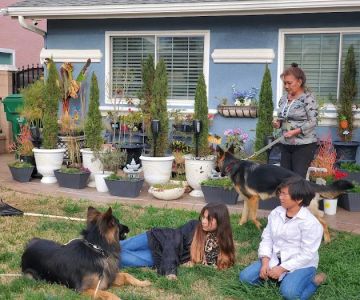 Surfside Animal Hospital