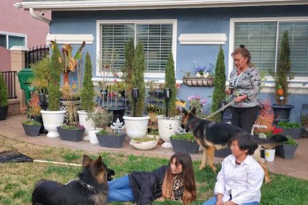 Surfside Animal Hospital