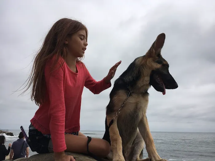 Surfside Animal Hospital 8