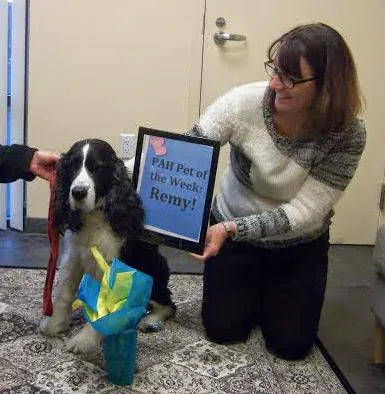 Pacific Animal Hospital 3