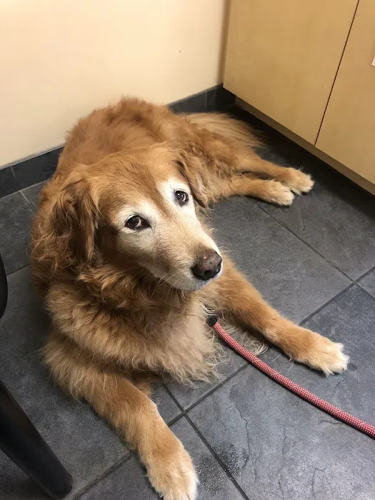 Pacific Animal Hospital 1