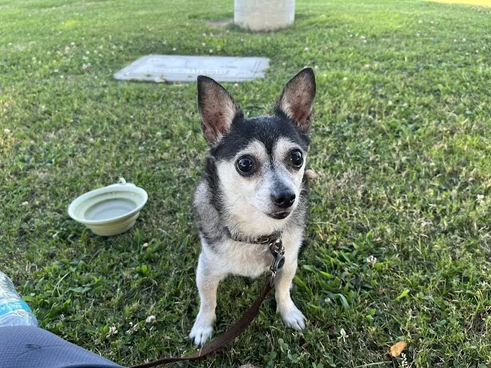 Oceanside Veterinary Hospital 5