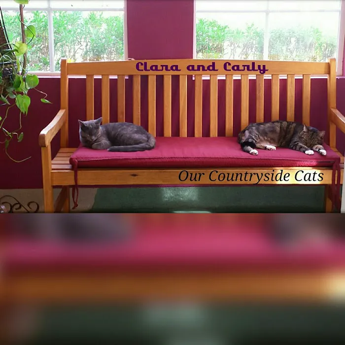 Countryside Veterinary Hospital 5