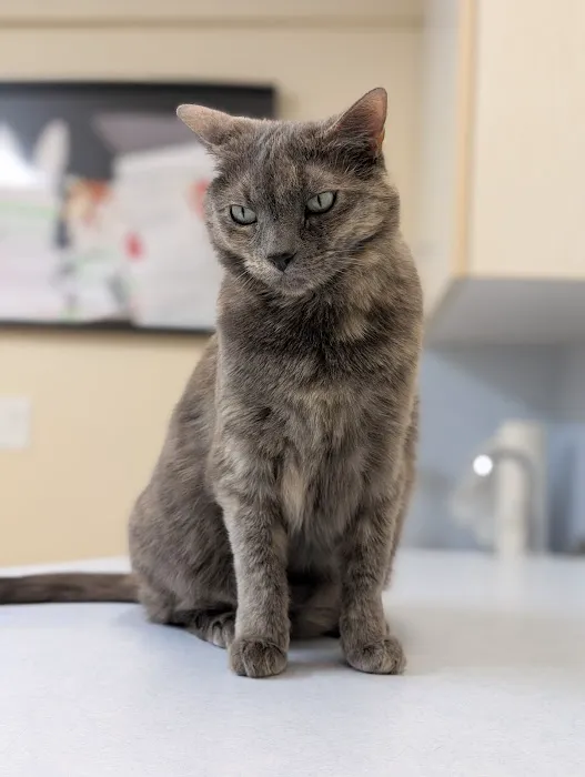 Countryside Veterinary Hospital 1