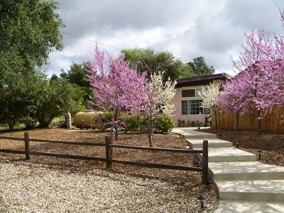 Countryside Veterinary Hospital 4