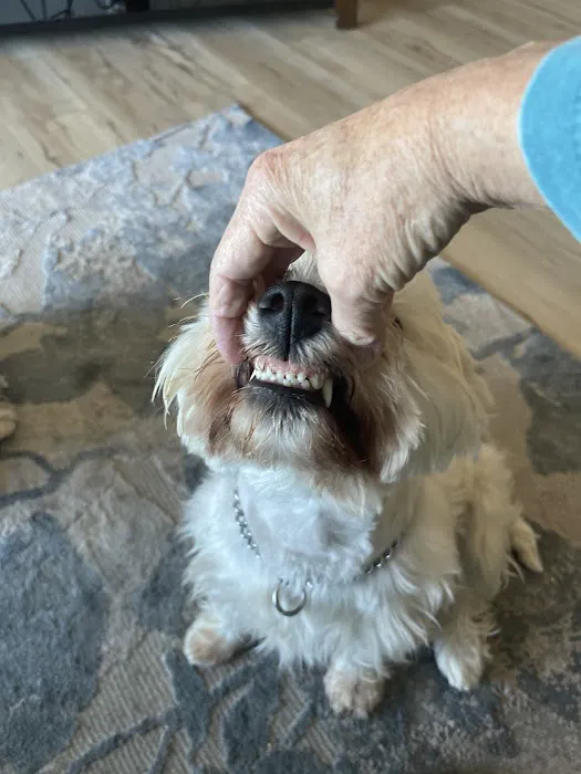 Valley Center Veterinary Clinic 5