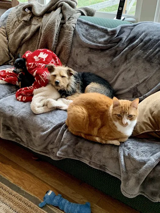 Pound Ridge Veterinary Center 9