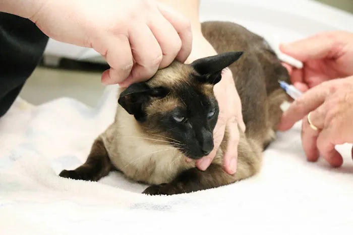 Pound Ridge Veterinary Center 2