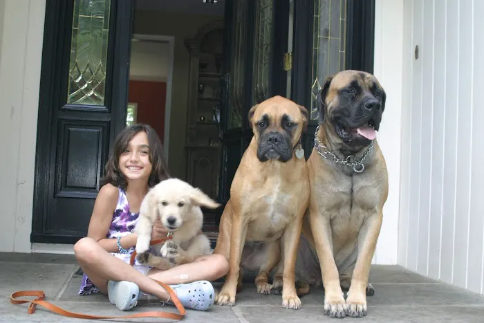 Pound Ridge Veterinary Center 8