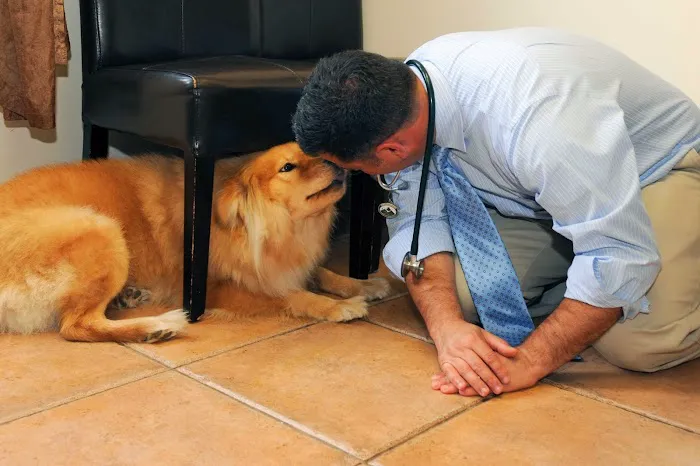 Bull's Head Pet Hospital 9