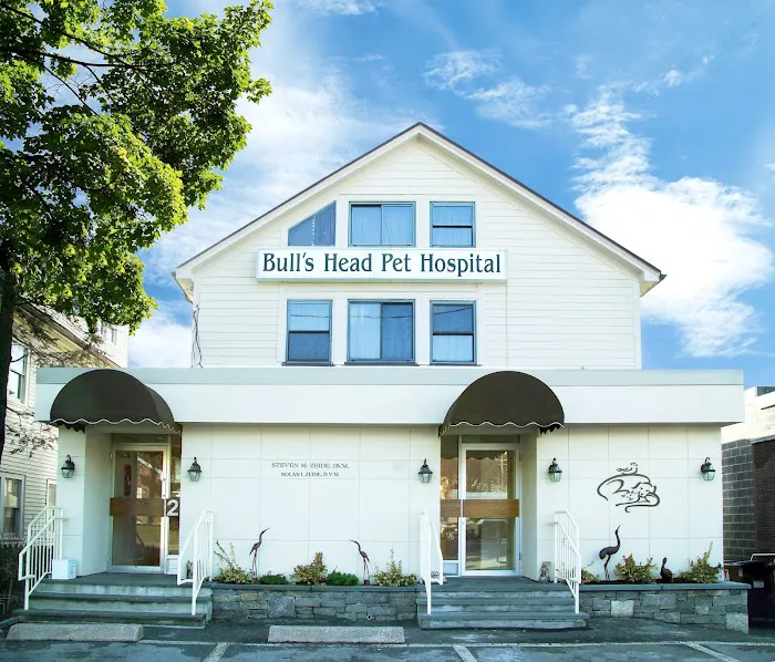 Bull's Head Pet Hospital 5