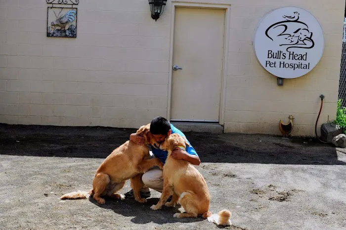 Bull's Head Pet Hospital 6