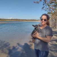 Brewster Veterinary Hospital ico